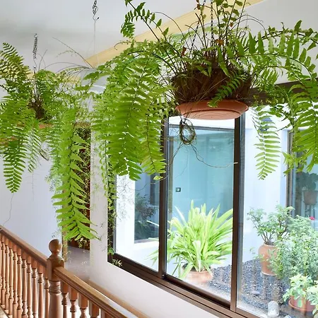 Casa Lava * Yaiza (Lanzarote)