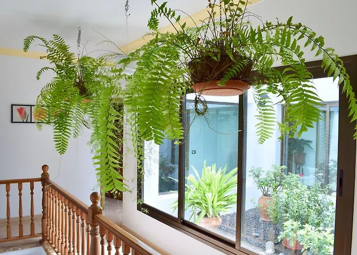 Casa Lava * Яйса